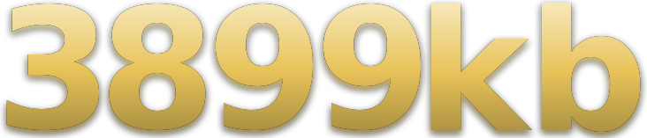 3899kb logo